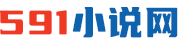 591小说网